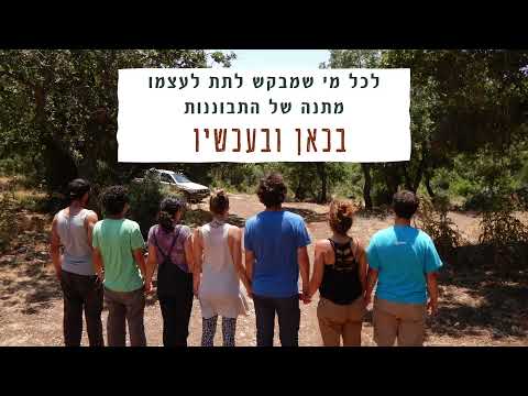 נדב אריכא - Venture