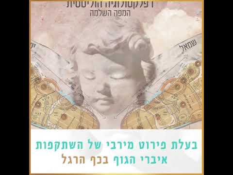 הראל עבודי - המפה הרפלקסולוגית