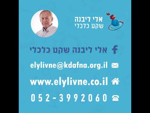 אלי ליבנה - שקט כלכלי