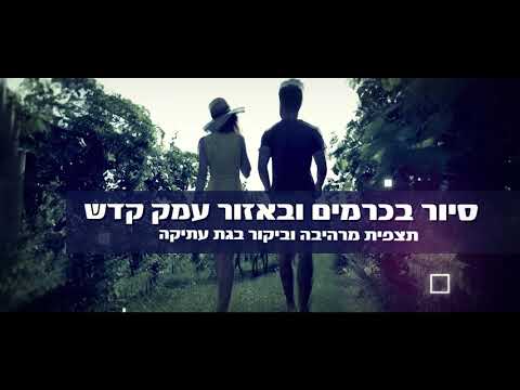 עופר גדסי - יקב הר זמר